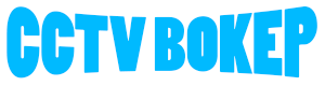 CCTV BOKEP